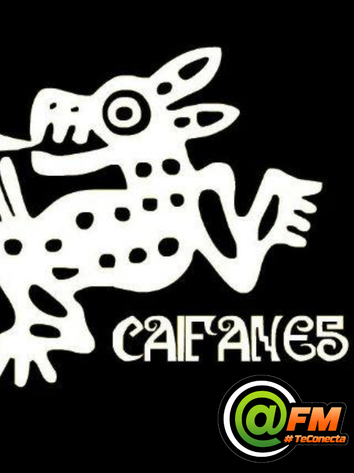 MG CAIFANES 2019
